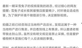 爆料雪莲作者是谁啊视频,探寻幕后创作高手